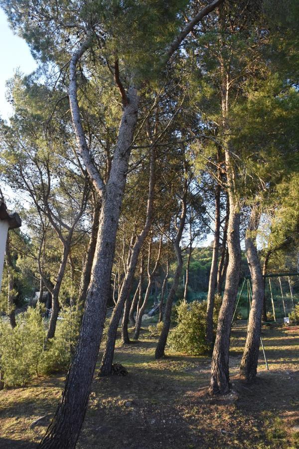 Gîte dans villa provençale sous les pins Uchaux Extérieur photo